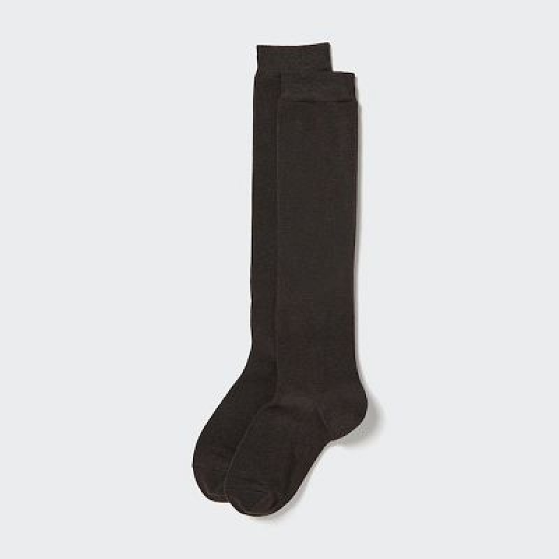 Uniqlo HEATTECH Knee High レディース ソックス ブラウン | 9549432