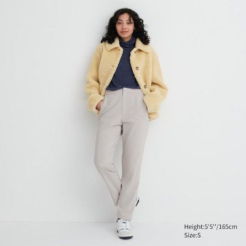 Uniqlo Heattech Warm Lined レディース パンツ グレー | 7287537