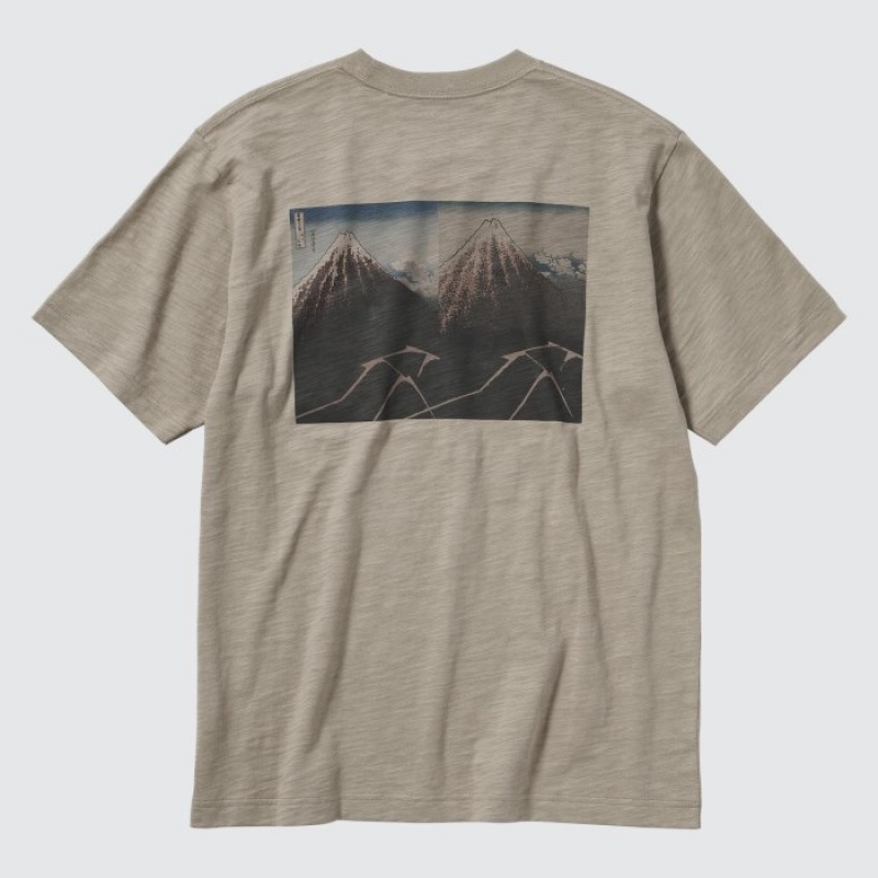 Uniqlo Hokusai UT Short Sleeve レディース Tシャツ ベージュ | 4464343