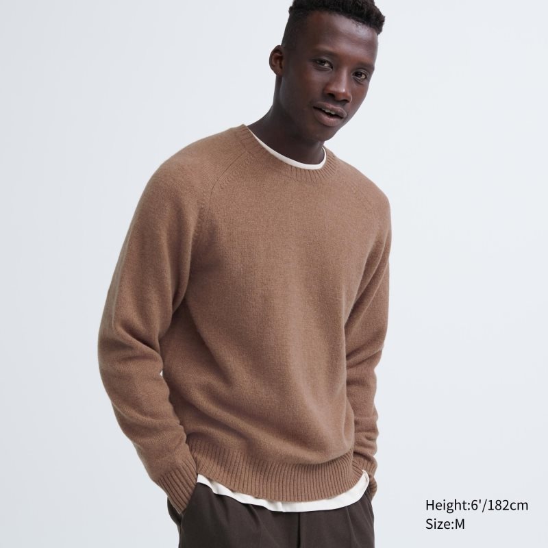 Uniqlo Premium Lambswool Crew Neck Long Sleeve メンズ セーター ブラウン | 2504535