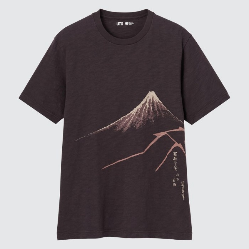 Uniqlo Ukiyo-e UT Short-Sleeve レディース Tシャツ ブラウン | 3551427