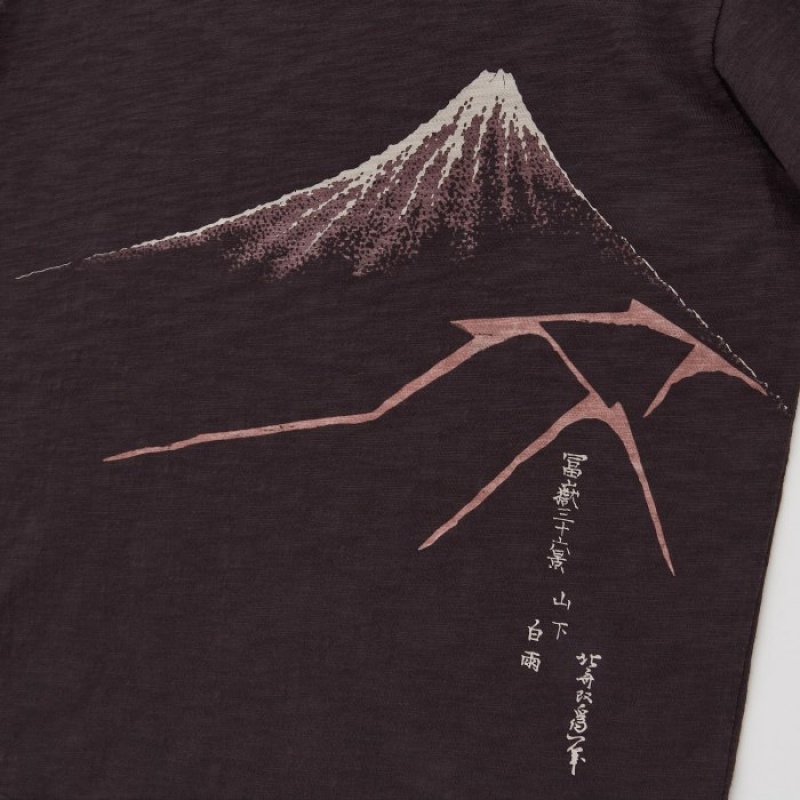 Uniqlo Ukiyo-e UT Short-Sleeve レディース Tシャツ ブラウン | 3551427