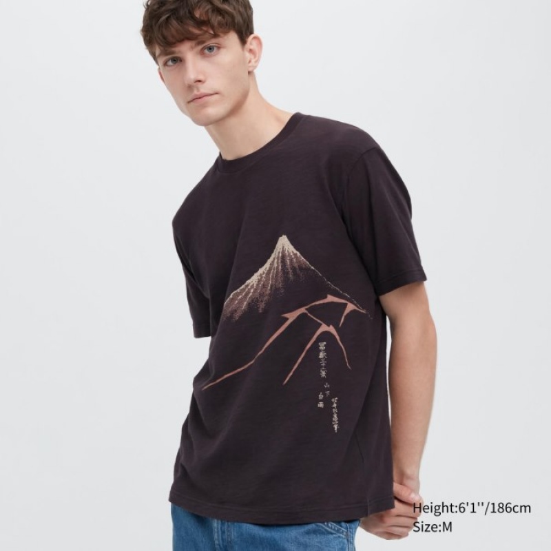 Uniqlo Ukiyo-e UT Short-Sleeve レディース Tシャツ ブラウン | 3551427