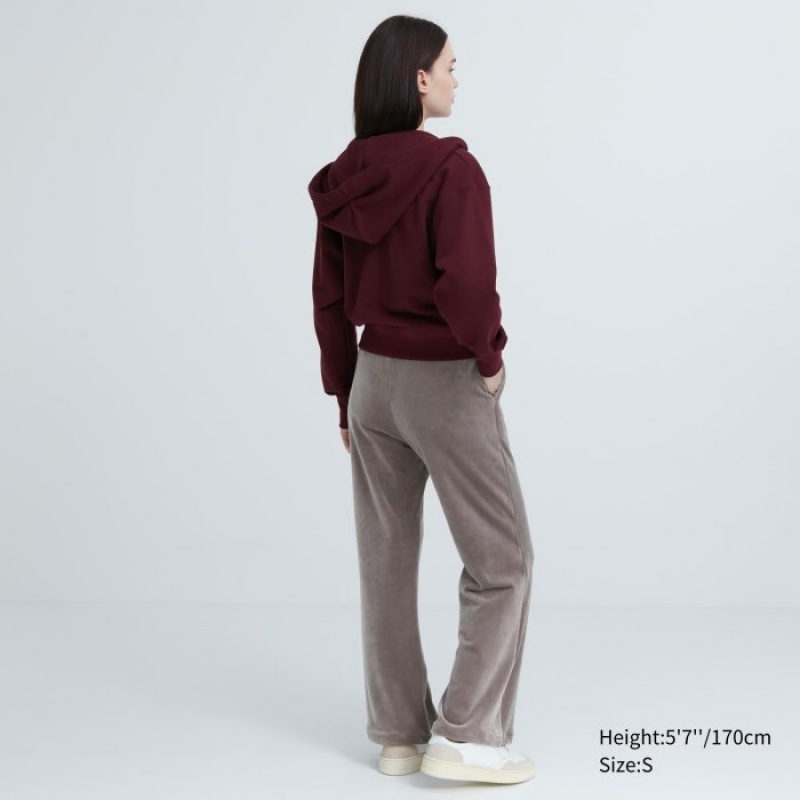 Uniqlo Ultra Stretch Smooth Lounge レディース パンツ ブラウン | 9850889