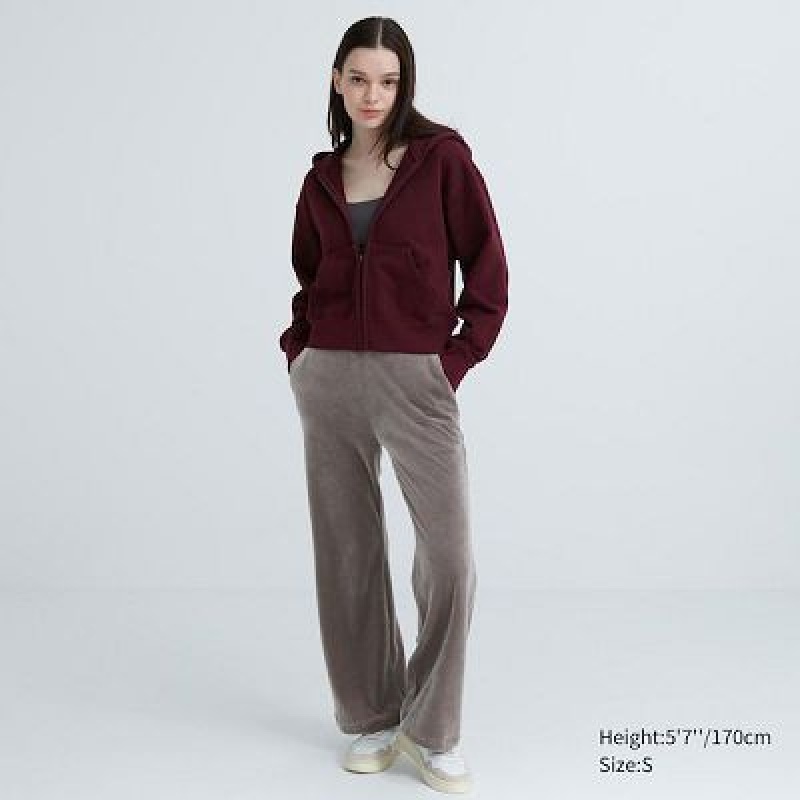 Uniqlo Ultra Stretch Smooth レディース パンツ ブラウン | 2716765