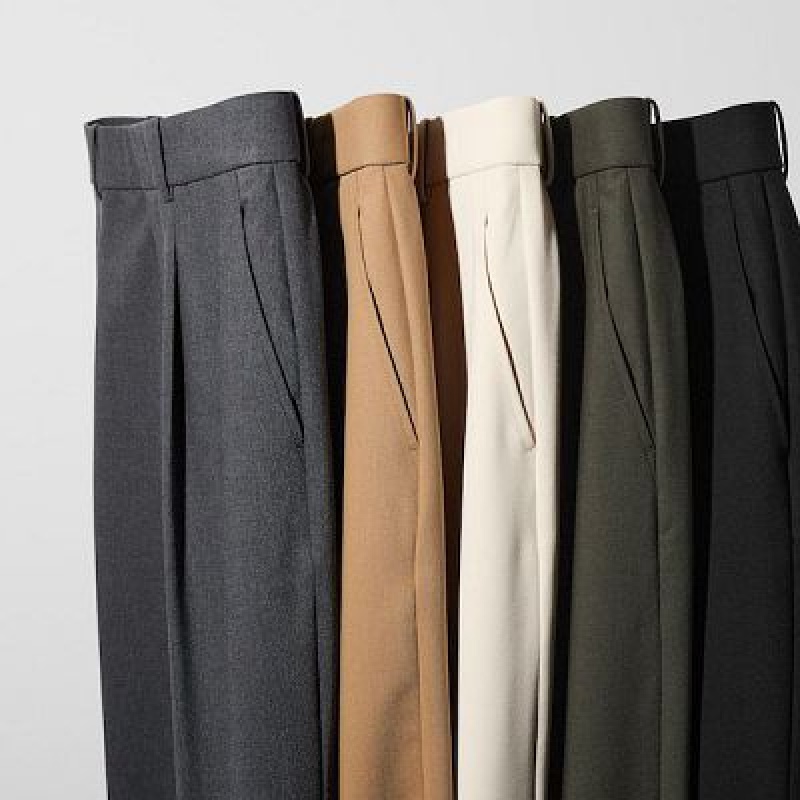 Uniqlo Wide-Fit Pleated レディース パンツ グレー | 5543113